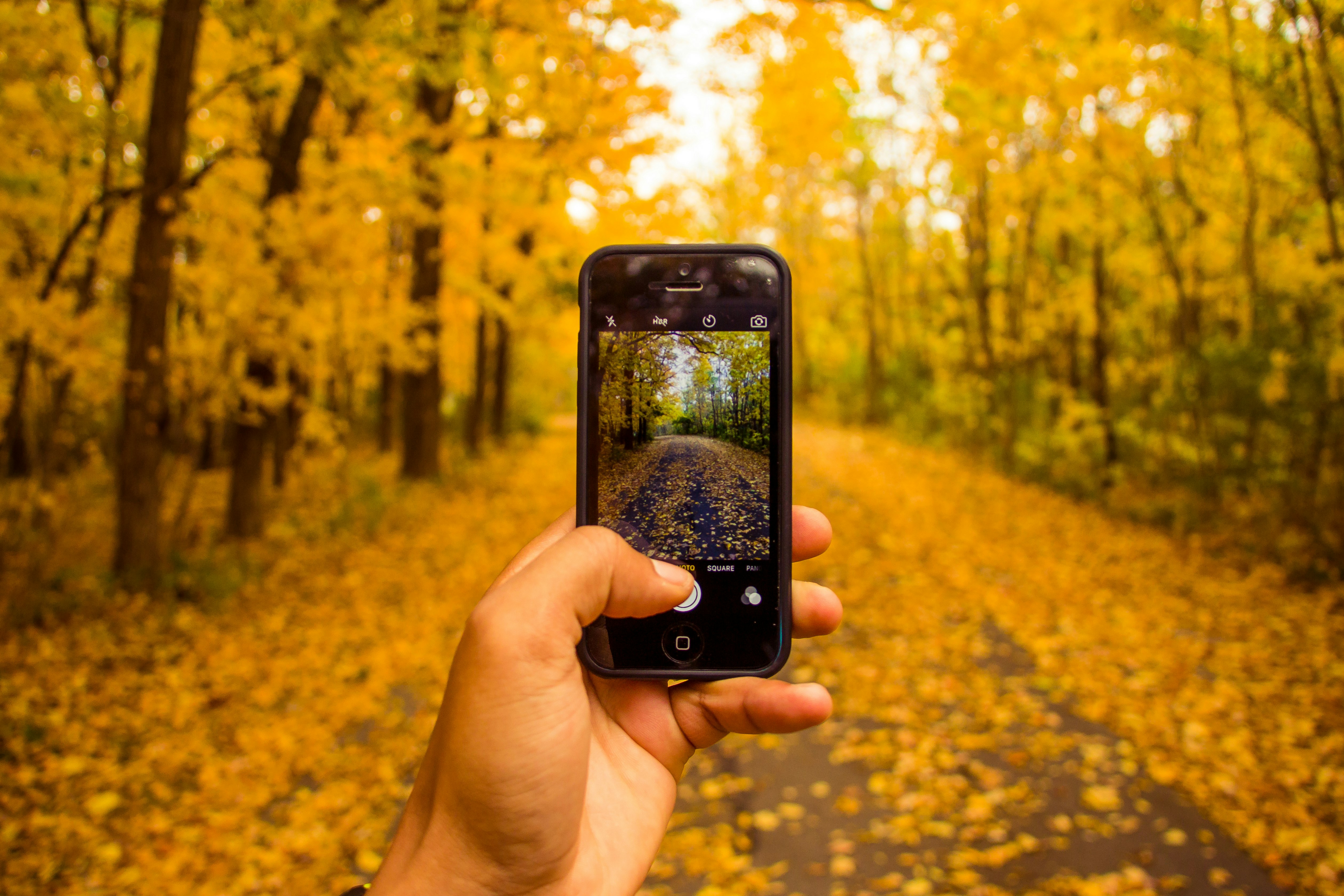 person using camera on Android smartphone